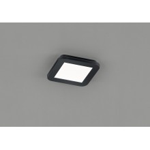Точковий світильник Trio R62931032 Reality Camillus