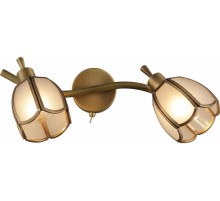 Спот Altalusse INL-9317W-02 Golden Brass
