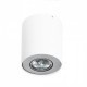 Точковий світильник AZzardo NEOS 1 WHITEALUMINIUM AZ0606