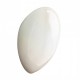 Бра AZzardo LOTUS WHITE AZ0151