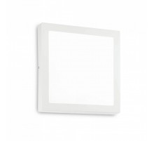 Потолочный светильник Ideal Lux UNIVERSAL D40 SQUARE 240374