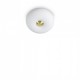 Стельовий світильник Ideal Lux ARIZONA PL2 214498