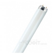 Люминисцентная лампа T8 G13 18W/54-765 Philips