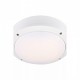 Стельовий світильник MarkSlojd Sweden LUNA Plafond White 106536
