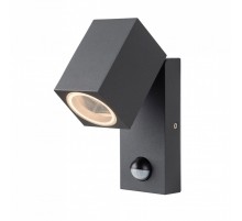 Вуличний світильник AZzardo GORAN SENSOR DGR AZ4696