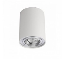 Точковий світильник AZzardo BROSS 1 WHITEALUMINIUM AZ0781