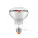 Лампа світлодіодна VIDEX Filament R80FF 09W E27 1200K для рослин