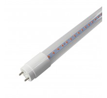 Светодиодная фитолампа Velmax V-T8-Fito, 9W, 600мм, G13, Full spectrum