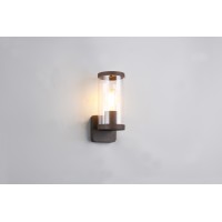 Вуличний світильник Trio R21596124