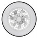 Потолочная люстра с вентилятором Rabalux 71331 Dalfon 2 LED/48W/230V 3000-6500K + пульт