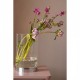 Настольная лампа MarkSlojd Sweden BOUQUET Table 29cm Chrome/Clear 107327