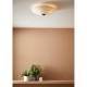 Стельовий світильник MarkSlojd Sweden ROSE Plafond 43cm 108208