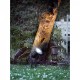 Ґрунтовий світильник Nordlux Spotlight 20789903