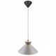 Подвесной светильник Nordlux Dial 25 | Pendant | Gray 2213333010