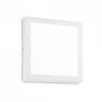 Потолочный светильник Ideal Lux UNIVERSAL D40 SQUARE 240374