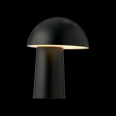 Настольная лампа DFTP Faye 2420155003