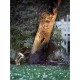 Ґрунтовий світильник Nordlux Taurus 77029934