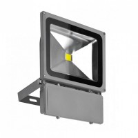 Прожектор AZzardo FLOOD LIGHT 80W BGR AZ1201