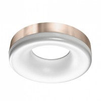 Потолочный светильник AZzardo RING LED 3000K SN AZ2946