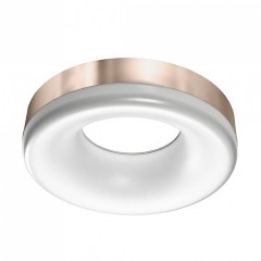 Потолочный светильник AZzardo RING LED 3000K SN AZ2946