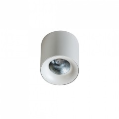 Точечный светильник AZzardo MANE 30W WH AZ4155