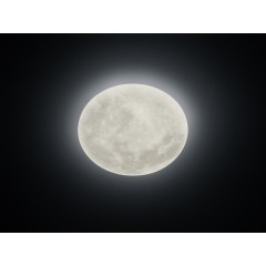 Світильник стельовий Trio 627514000 Lunar