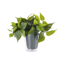 Аксессуар Trio 92945 Trio Plant