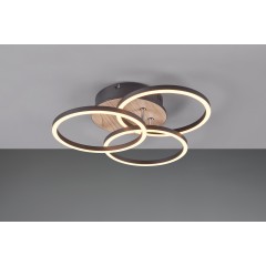 Потолочный светильник Trio R62823135 Reality CIRCLE