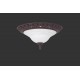Потолочный светильник Trio 6102021-24 Rustica